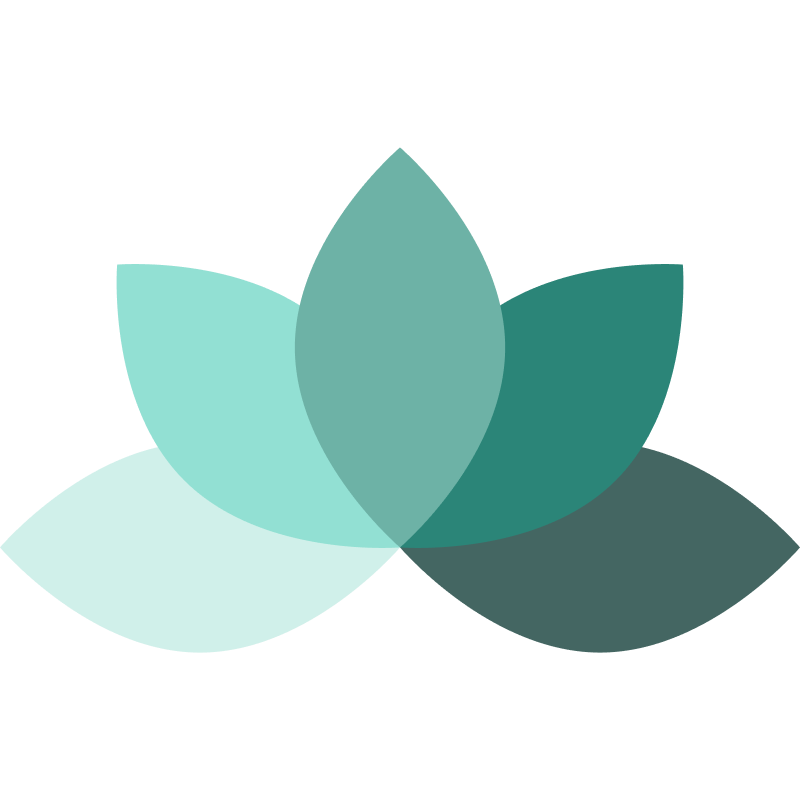 Všímavost a meditace